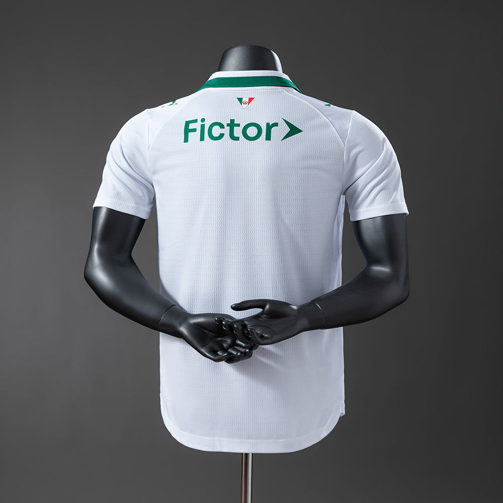 Palmeiras versão jogador