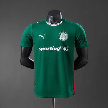 Palmeiras versão jogador