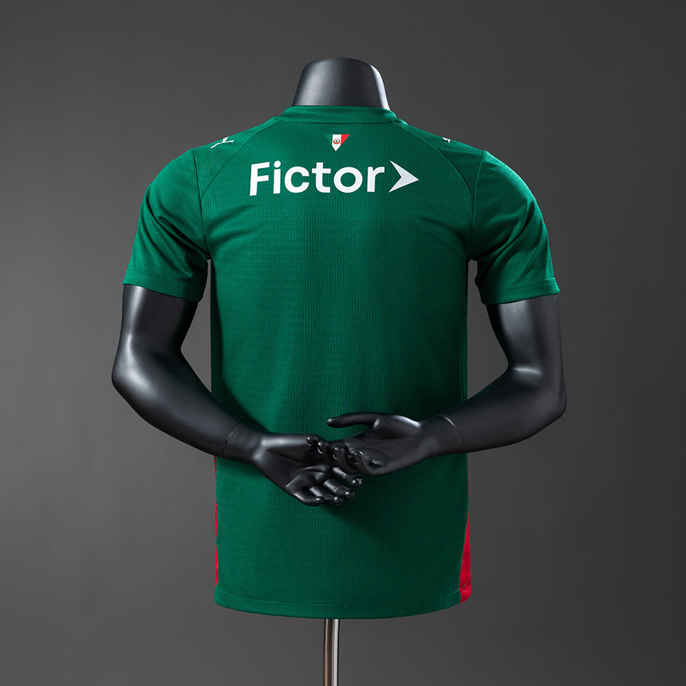Palmeiras versão jogador