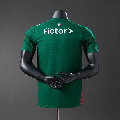 Palmeiras versão jogador